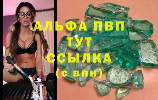 гашик Алексин