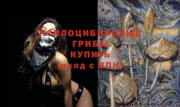 гашик Алексин