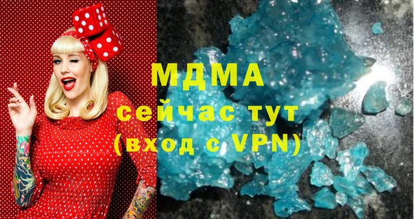 гашик Алексин