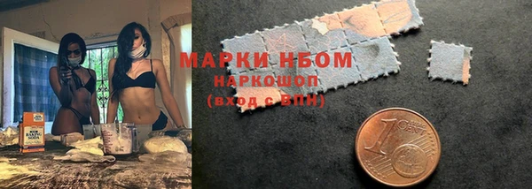 гашик Алексин