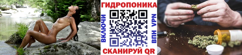 Бошки Шишки конопля  наркошоп  Дмитров 